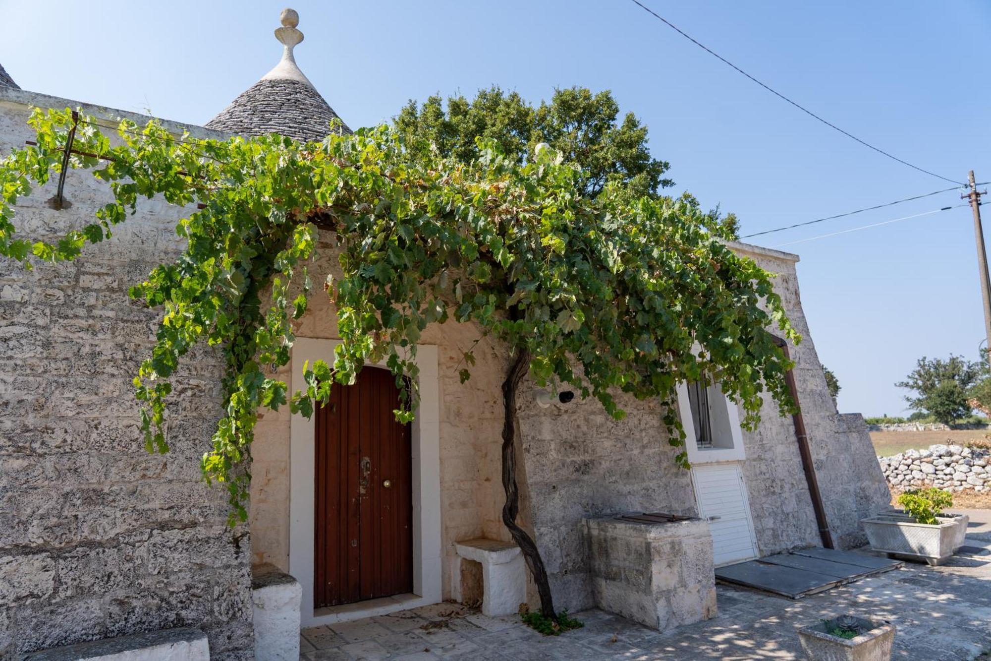 Trullo Vacanze Di Cumma Rosa Alberobello Esterno foto